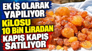 ek-is-olarak-yapiliyor-kilosu-10-bin-liradan-kapis-kapis-satiliyor-UcNCW6t6