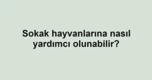 sokak-hayvanlarina-nasil-yardimci-olunabilir